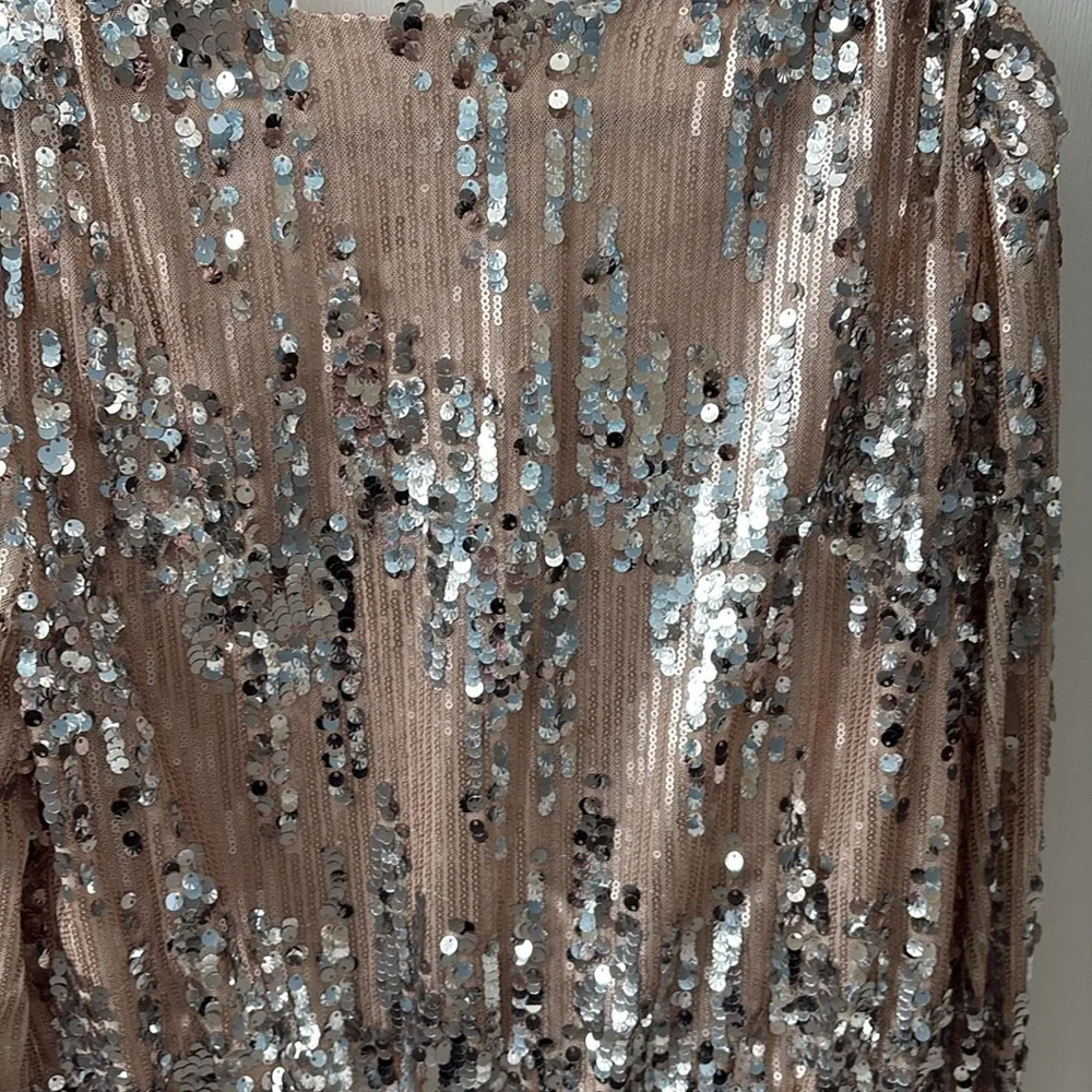 ASTR The Label Primadonna Silver & Tan Sequin Top - Small, 4 - 6 - Picture 12 of 14